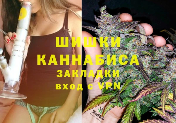 соль ск Пестово