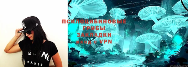 ешки Балахна